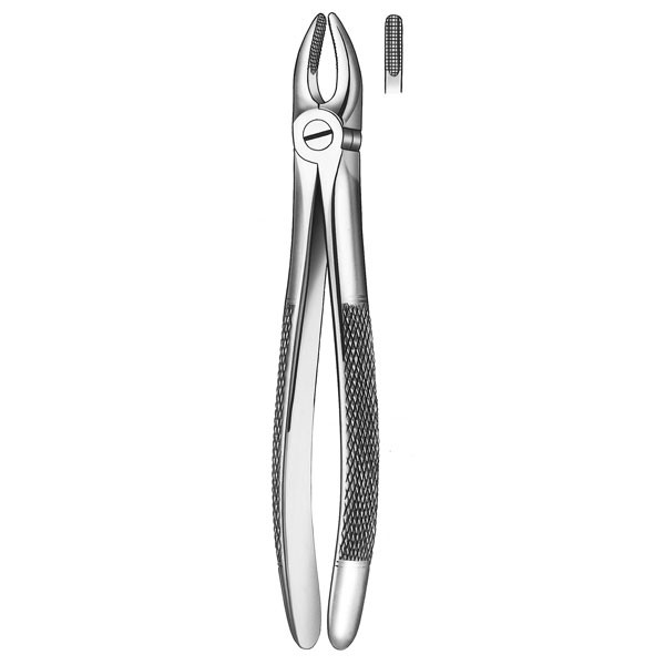 1 FORCEPS INCISIVO-CANINO SUP. – Pinza per estrazione, acciaio inox