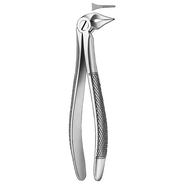 136 FORCEPS RAICES INFERIORES – Fórceps extracción, CARL MARTIN