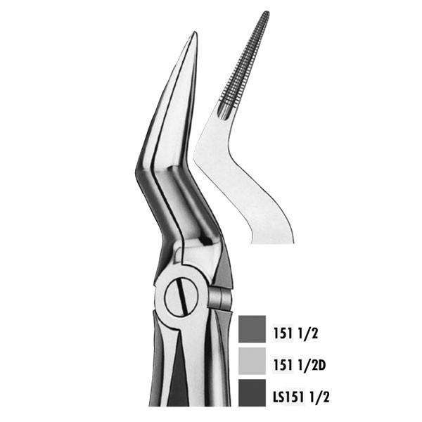151 1/2 FORCEPS RAICES SUPERIO – Pinza dentale acciaio inossidabile CARL MARTIN