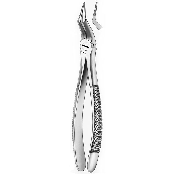 152 FORCEPS RAICES SUPERIORES – Forceps d'extraction, Carl Martin, acier inoxydable