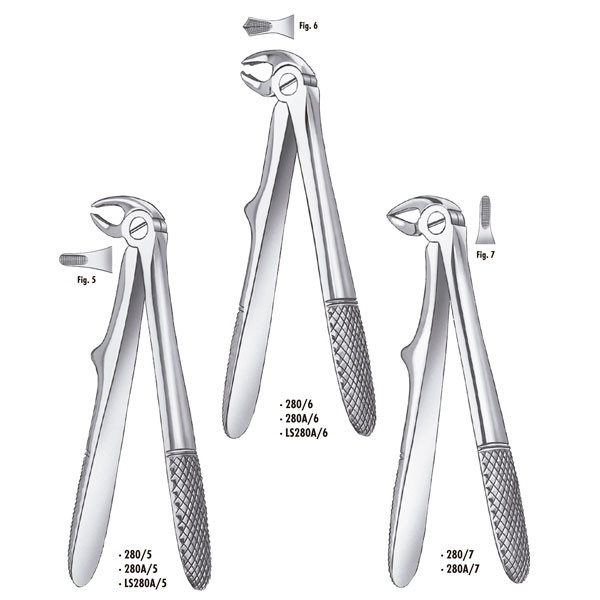 280A/6 F.KLEIN NIÑO MOLAR.INF – Davier avec ressort CARL MARTIN