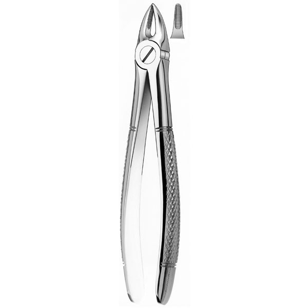 29K FORCEPS PARA NIÑOS – Forceps pédodontie maxillaire supérieur CARL MARTIN