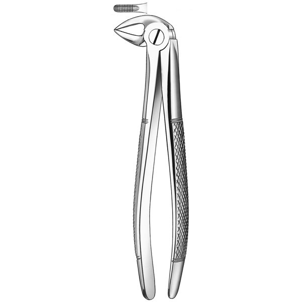 33 FORCEPS RAICES INFERIORES – Fórceps de extracción, Carl Martin, acero inox