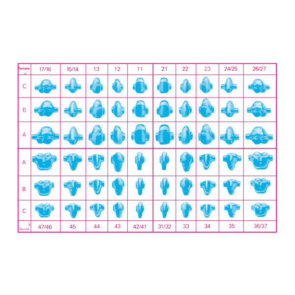 46/47C PREFORMA INDIVIDUAL – Matriz dental para restauración, Silver Line, 25u