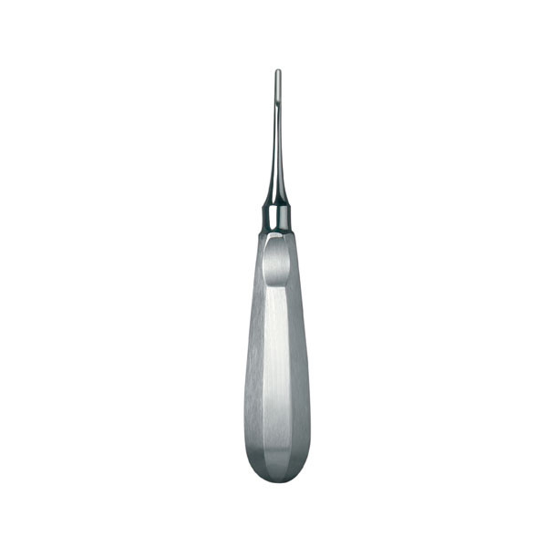588/5 BOTADOR SCHWAL RECTO 2,5mm – Lussatore chirurgico CARL MARTIN