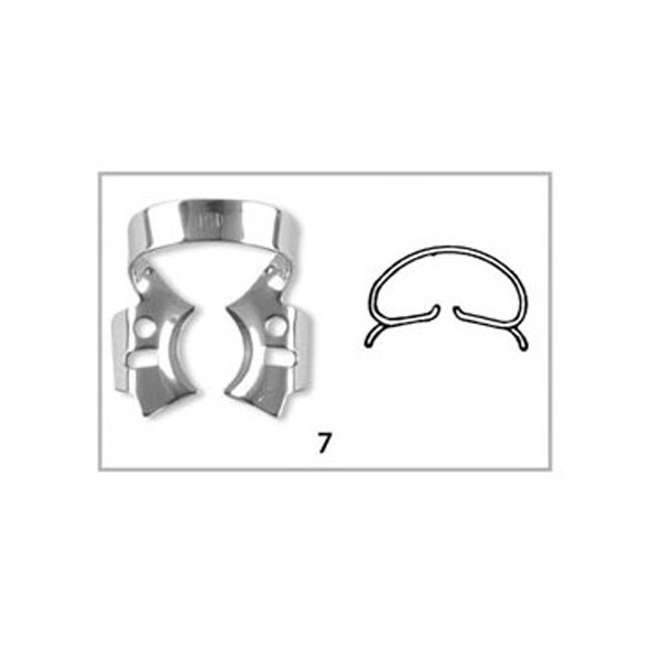 7 CLAMP CON ALA – Molar kapocs, IVORY