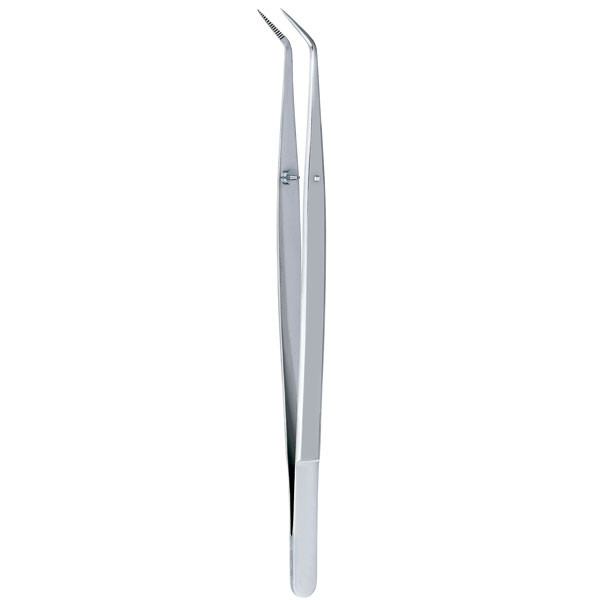 772DP/2 PINZA COLLEGE – Fogászati csipesz 15 cm CARL MARTIN