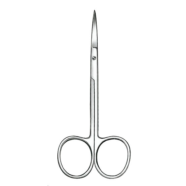 801/10,5cm – Ciseaux à gencives droits, acier inoxydable, CARL MARTIN