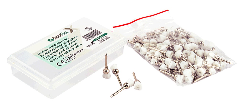 Cepillos de nylon para profilaxis Dentaflux – Brosse de prophylaxie, 100u