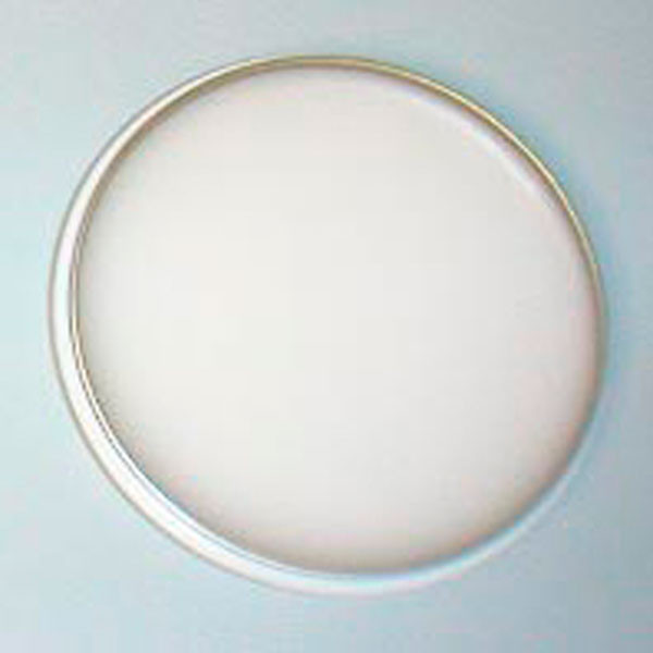 CERA PRESENTACION BLANCA – Cera para modelos de ortodoncia, 50g, REUS