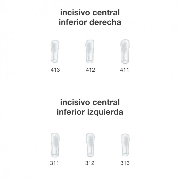 CORONAS INCISIVO CENTRAL INF. FRASACO – Couronnes temporaires acier