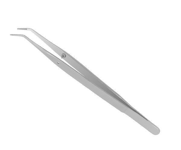 DP2 PINZA COLLEGE 