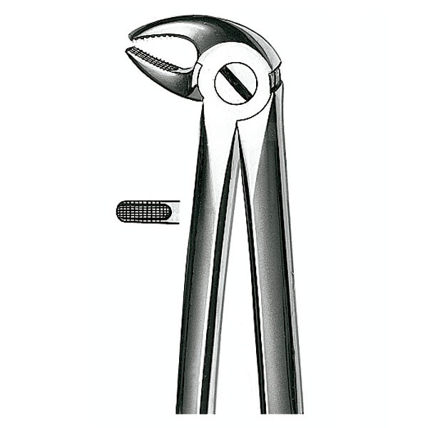 E13 FORCEPS N.13 PREMOLAR INF. – Pinza per estrazione CARL MARTIN