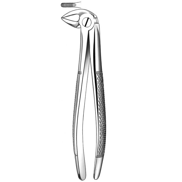 E33 FORCEPS N.33 RAICES INF. – Pinza estrazione, CARL MARTIN