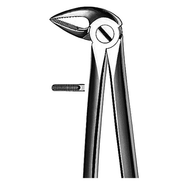 E33A FORCEPS RAICES INFERIORES – Pinza per radici inferiori, CARL MARTIN
