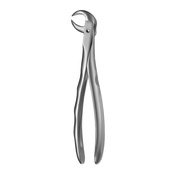 LS86C FORCEPS SEPARAR MOLAR.INF LIQUID STEEL – Fórceps de extração