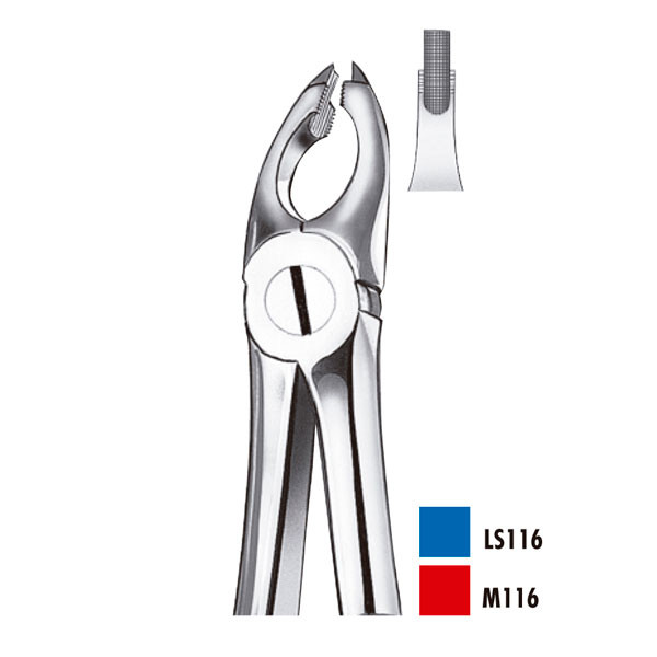 M116 FORCEPS PREMOLARES SUP. – Pinza estrattiva per premolari sup., Carl Martin