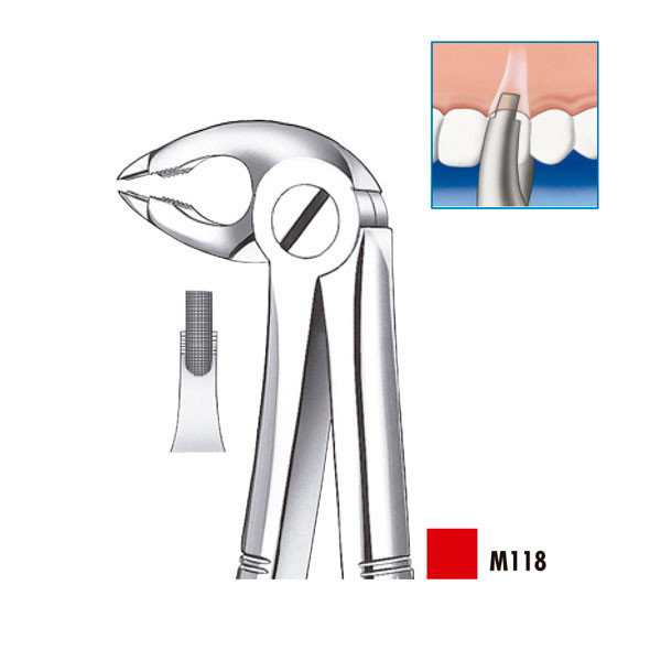 M118 FORCEPS PREMOLARES INF. – Fórceps de extracción premolares, Carl Martin