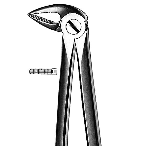 M2033A FORCEPS RAICES INF. – Fogó alsó gyökerekhez