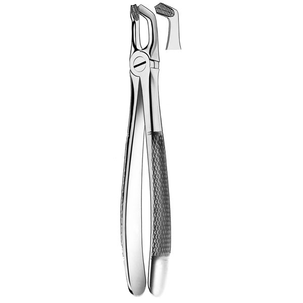 M2079 FORCESP CORDALES INF. – Pinza per denti del giudizio inferiori