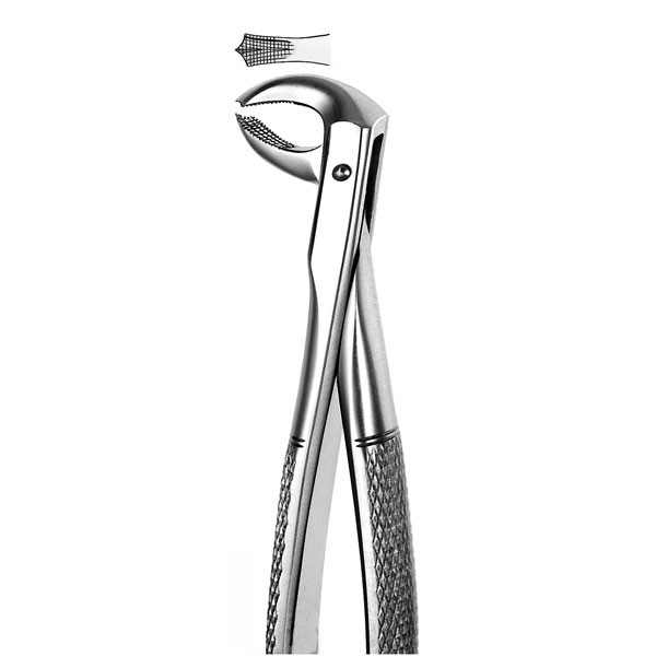 M73 FORCEPS PREMOLAR INF – Forceps d'extraction dentaire