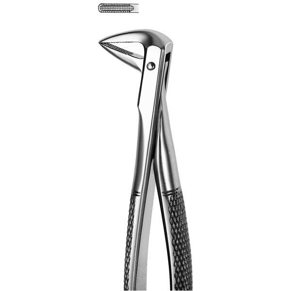 M74 FORCEPS RAICES INFERIORES – Fórceps de extracción dental – Raíces – Acero inox – Carl Martin