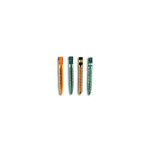 RST-L6 DENTATUS – Pino dourado Surtex Classic, 11,8mm, 15 unidades