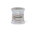 IPS IVOCOLOR Shade Dentin SD2 3g – Maquilhagem cerâmica, Ivoclar