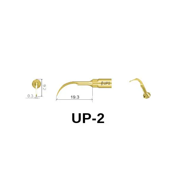 PUNTA WOODPECKER ULTRASURGERY UP2 – Chirurgia ossea