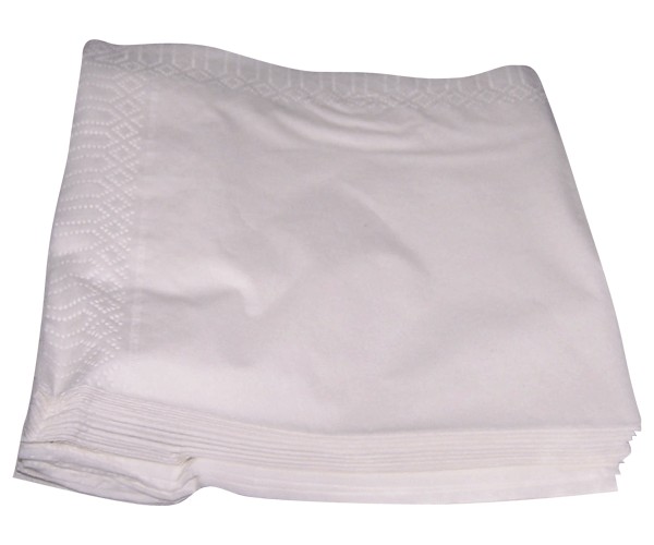 SERVILLETAS CELULOSA BLANCAS 4800 UND. 30x30 - 2 CAPAS